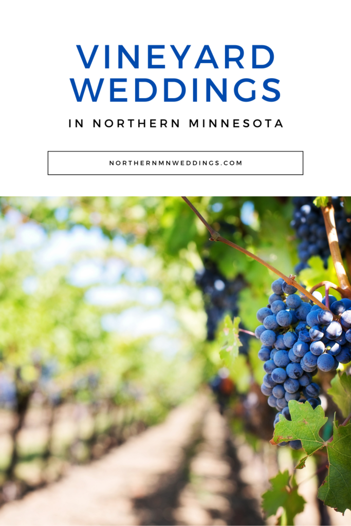 vineyard weddings in Northern Minnesota